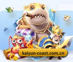 kaiyun的故事